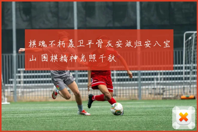 棋魂不朽聂卫平骨灰安放归安八宝山 围棋精神光照千秋
