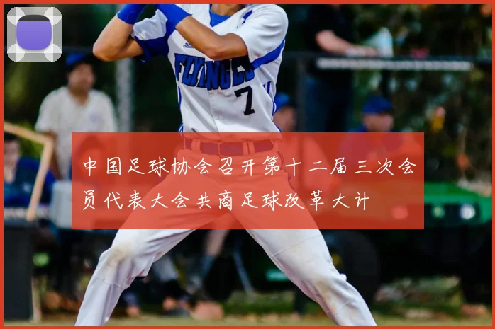 中国足球协会召开第十二届三次会员代表大会共商足球改革大计