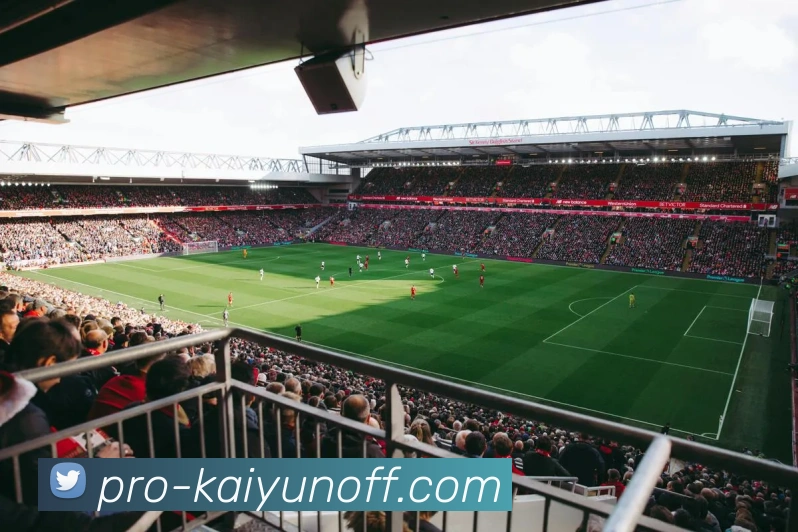 开云电竞棋牌APP 封面图